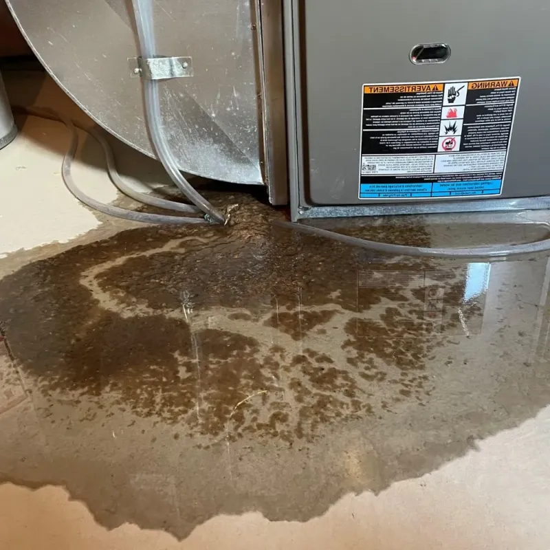 Pipe Burst and Leak Restoration in West Simsbury, CT