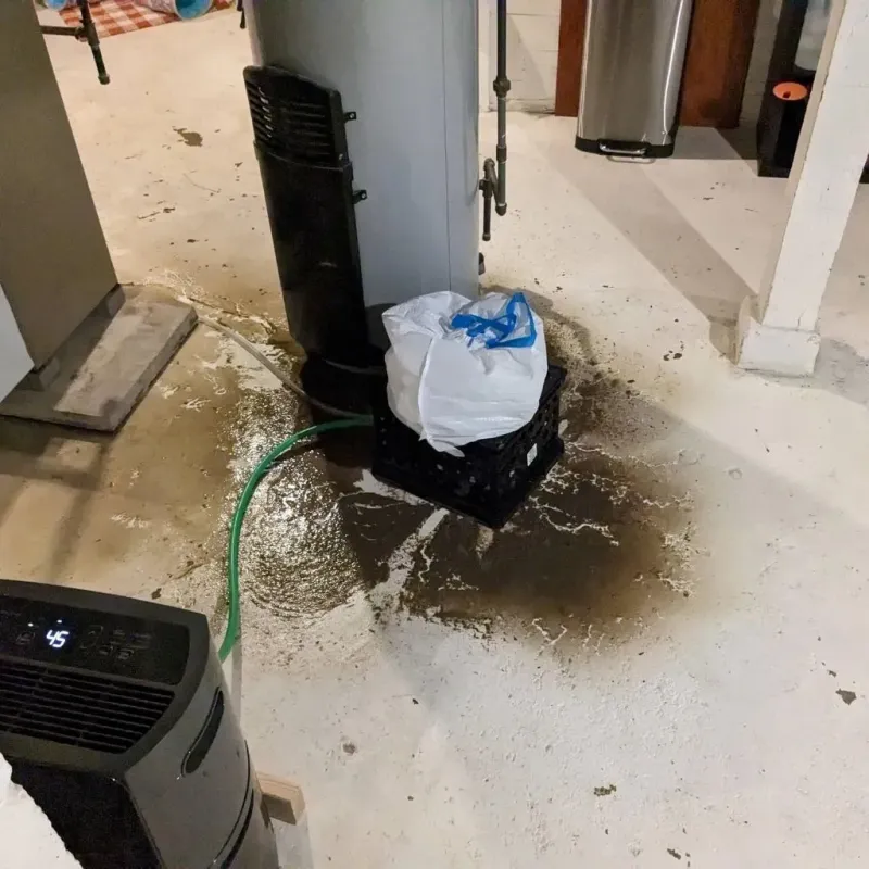 Sewage Backup Cleanup Service in West Simsbury, CT